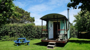 Cosy Shepherds Hut nr Kynance cove